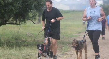 people walking their dogs