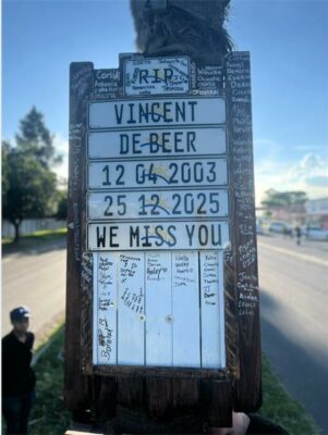 number plates against a tree