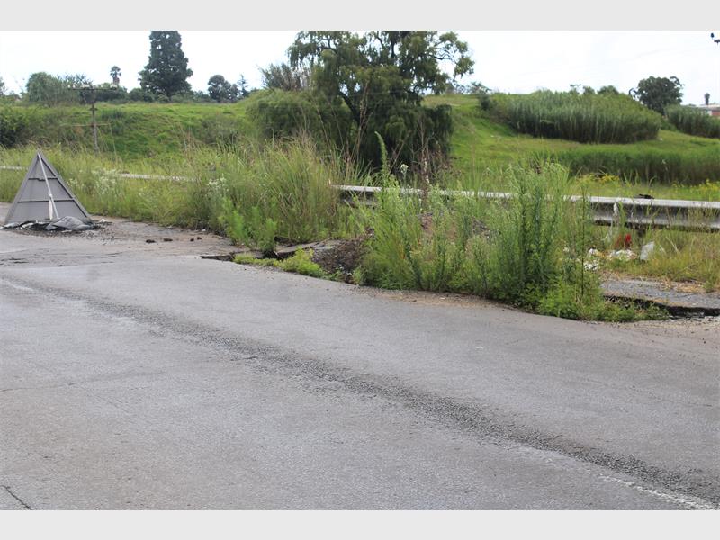 weeds grow among the gravel on a road