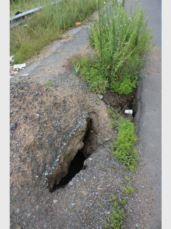 gash in the road with weeds growing out
