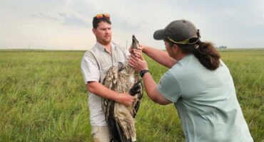 man holds vulture while a woman looks at its beak