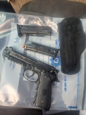 gun and ammunition