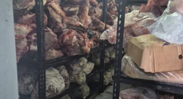chunks of meat stored
