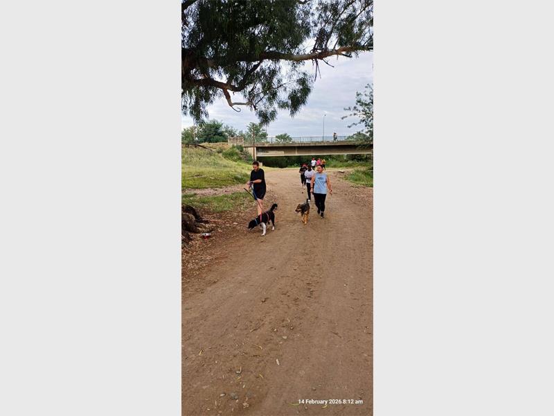 people walk with their dogs in thepark