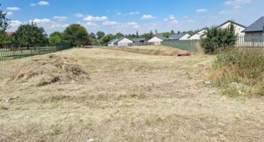 a park with cut grass