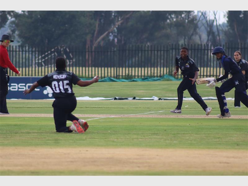 cricket players doing field work