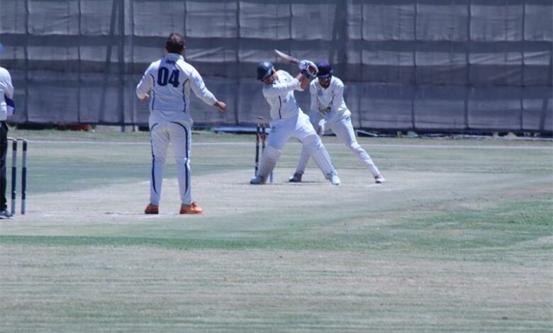 two teams play cricket
