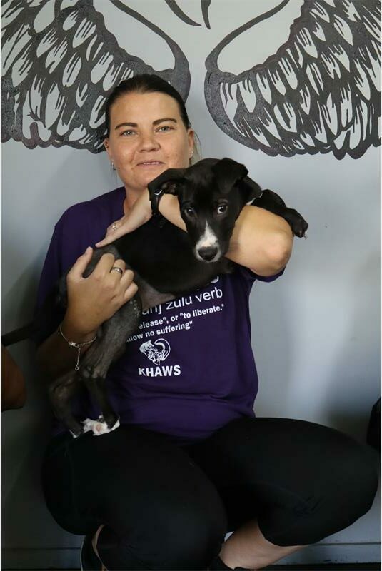 a woman holding a puppy