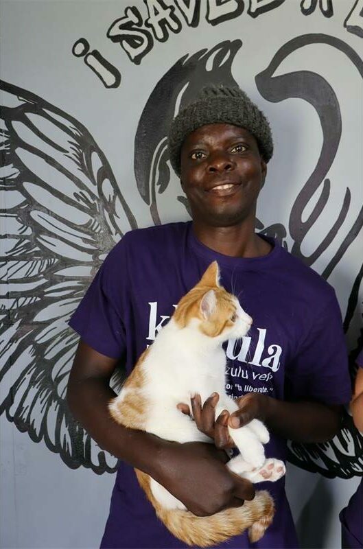 a man holds a white and ginger cat