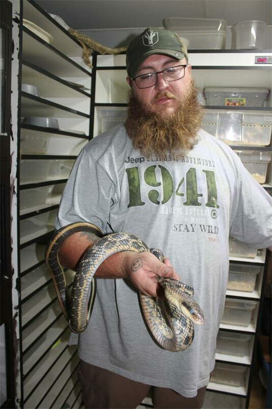 a bearded man holds a snake