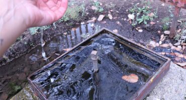 a hand scoops up clear water out of a water meter