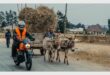 a motorbike overtakes a donkey cart