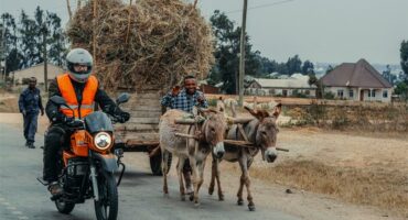 a motorbike overtakes a donkey cart