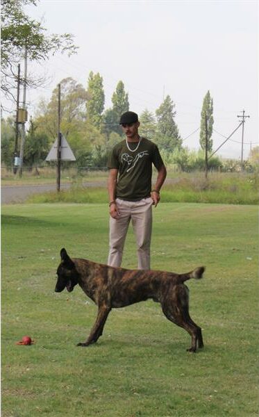 'n man en mallinois hond