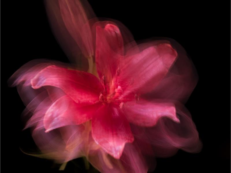 a blurred photo of a pink flower