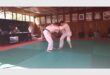 Two judo fighters in combat