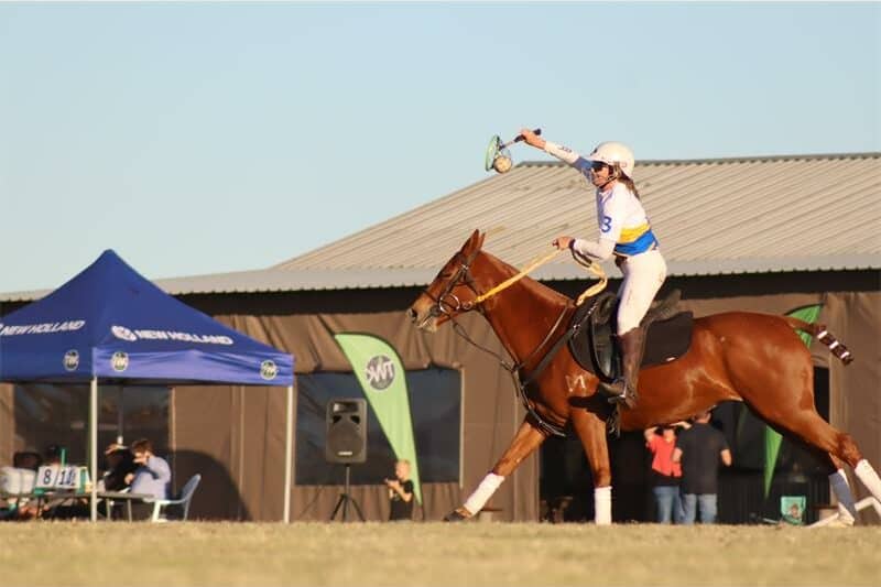 horse riders playing polo
