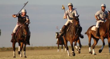 horse riders playing polo
