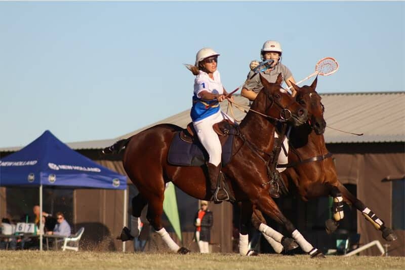 horse riders playing polo