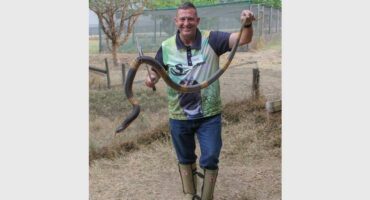 man holding snake with the necessary care