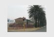 A building with palm trees