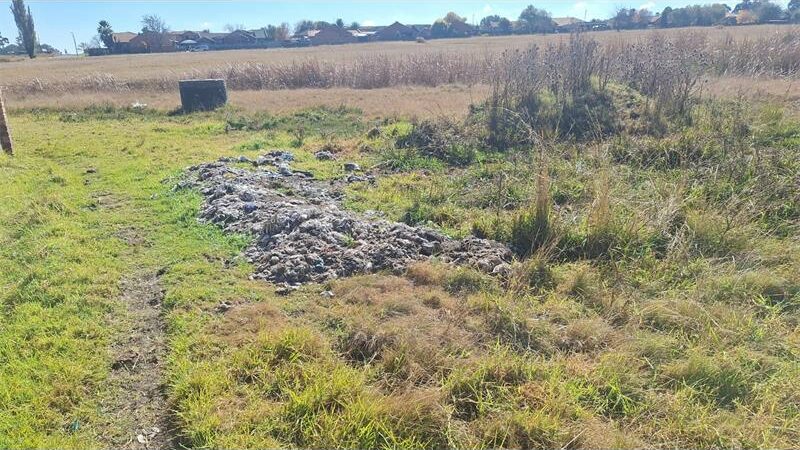 Sewage is being dumped by municipal workers in the field instead of following the correct procedures. Photo: Supplied.