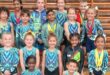 a group of children in gymnasts clothes