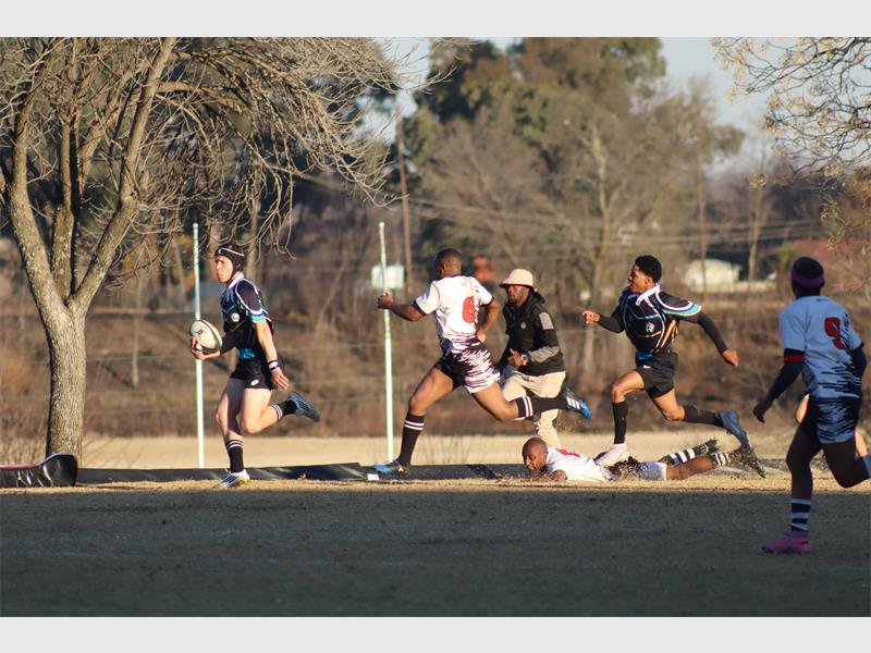 a rugby match between players in black and blue and a team in white and black.