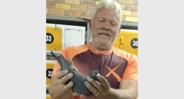 man is holding up homing pigeon