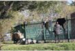 a vagrant hanging up washing over a palisade fence in the central business district