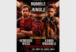poster of two fighters facing off