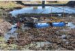 a person a dam surrounded by hyacinth