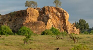 landscape image
