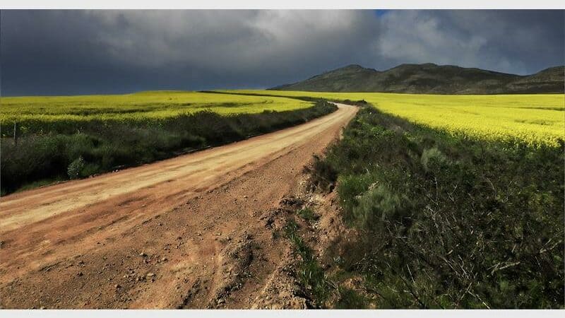 landscape image