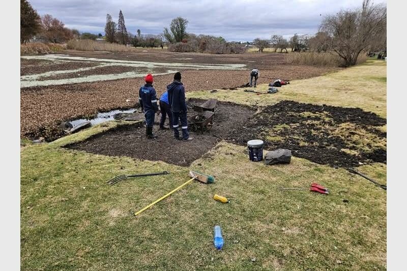 people working in a field