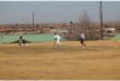 two teams playing cricket
