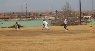 two teams playing cricket