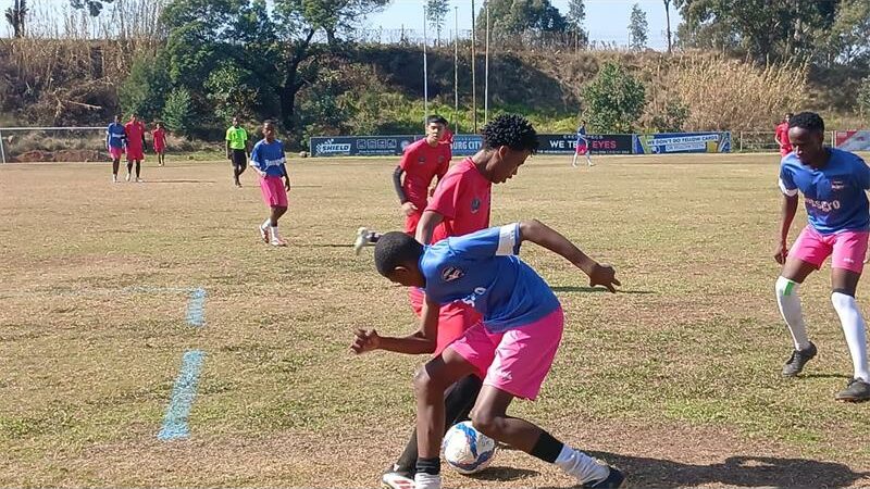 image of soccer players in action