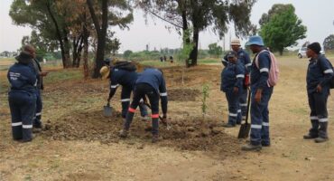 Municipal workers plant trees