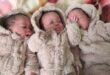 three babies sleeping