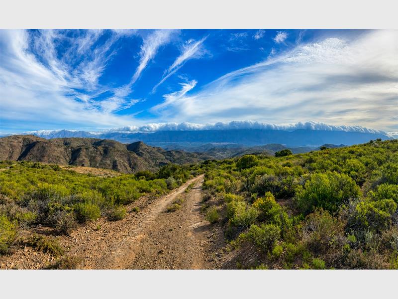 a photo of a landscape