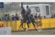 A horse gallops in the ring with his rider who is wearing a formal hat