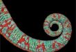 a photo of a chameleon's tail