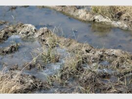 a stream off sewage water