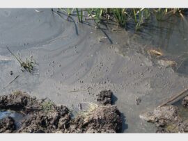 a sewage water pit