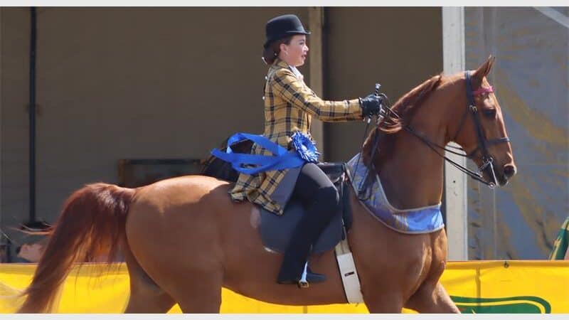 a woman on top of a horse