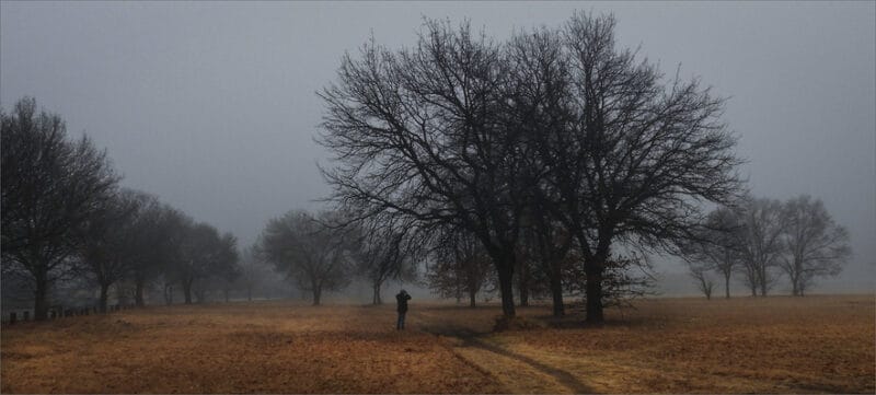 a landscape picture of a misty morning