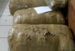big rolls of dagga