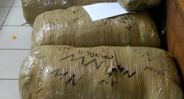 big rolls of dagga