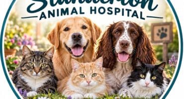 a badge for standerton animal hospital